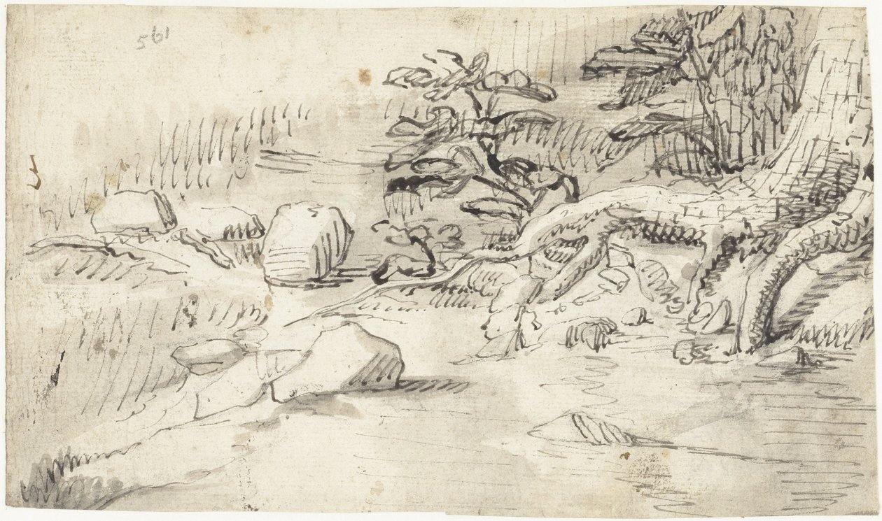 Estudio de las raíces de un árbol cerca de un arroyo de Gerard ter Borch (I)