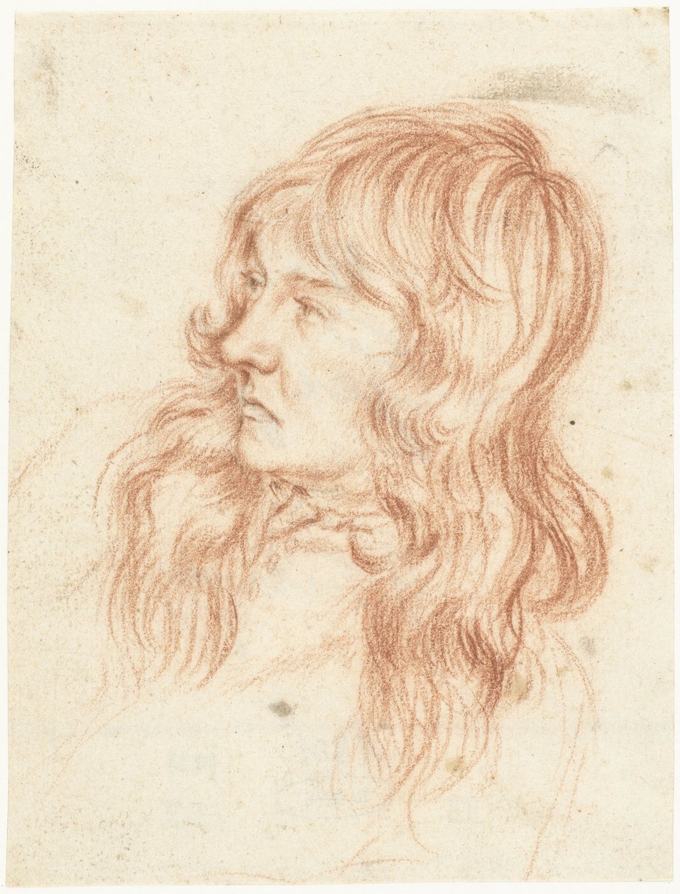 Cabeza de un joven, a la izquierda de Gerard ter Borch (II)