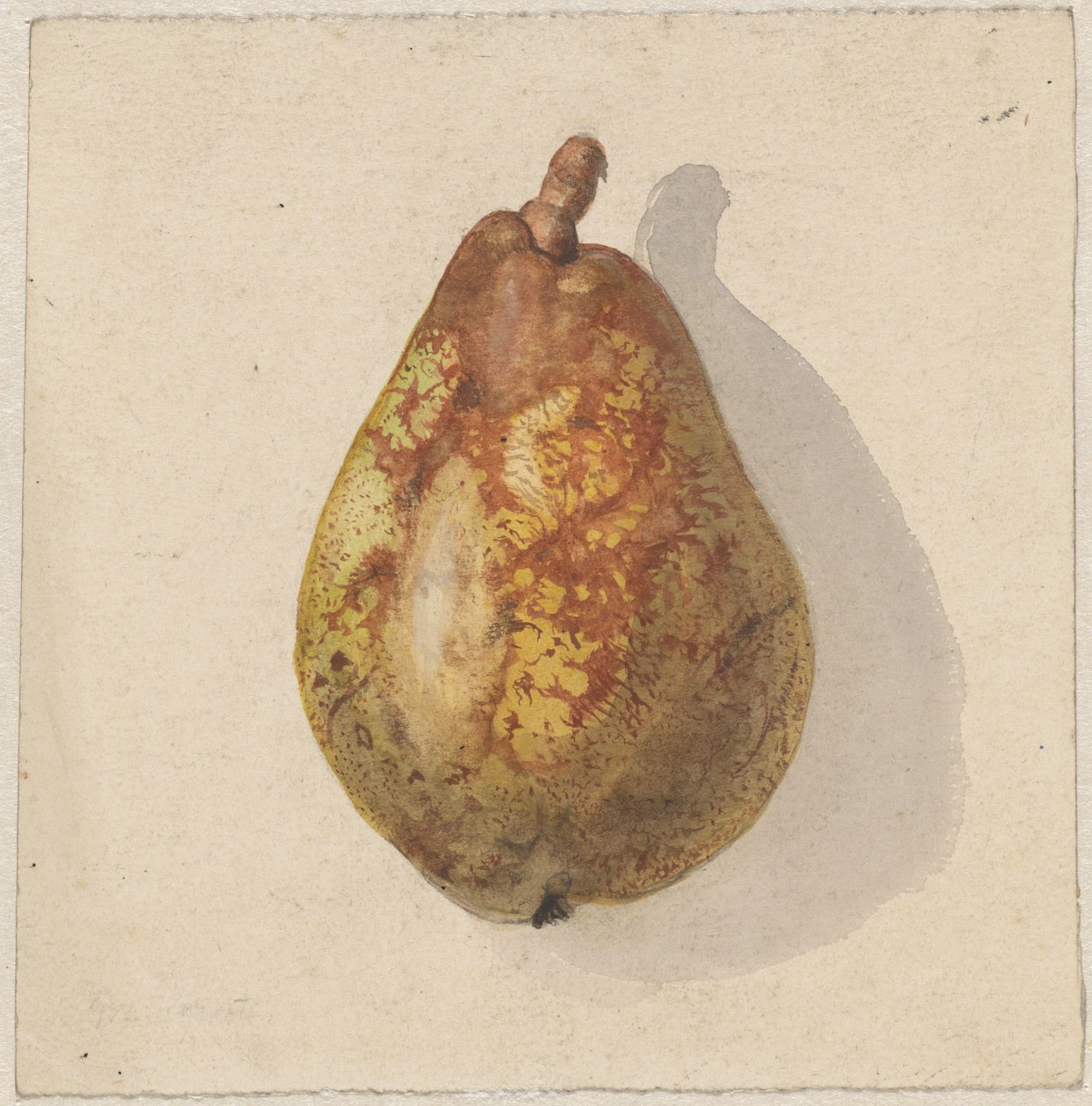 Peer de Gerardina Jacoba van de Sande Bakhuyzen