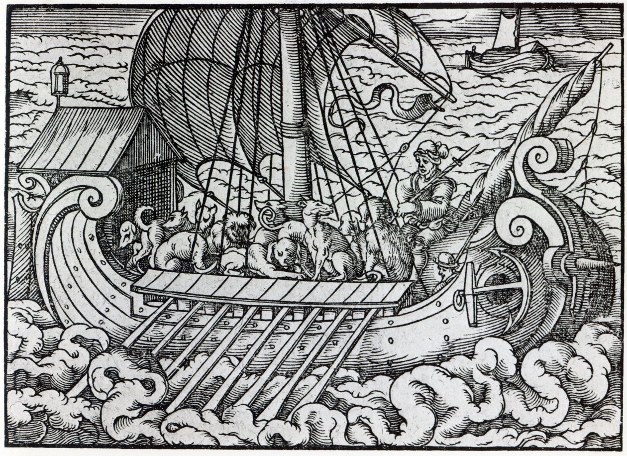 Barco Vikingo de German School
