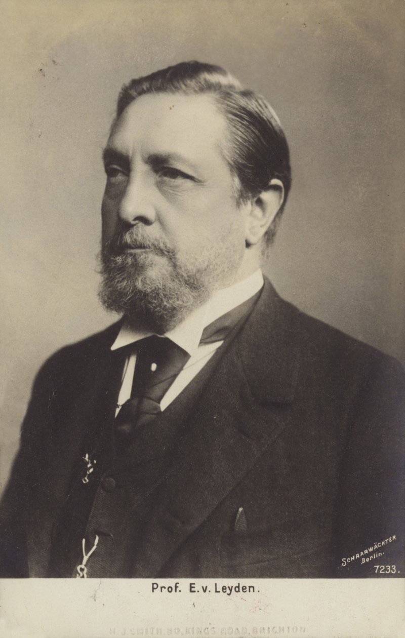 Profesor Ernst Viktor von Leyden (1832-1910), médico alemán (foto b/n) de German Photographer