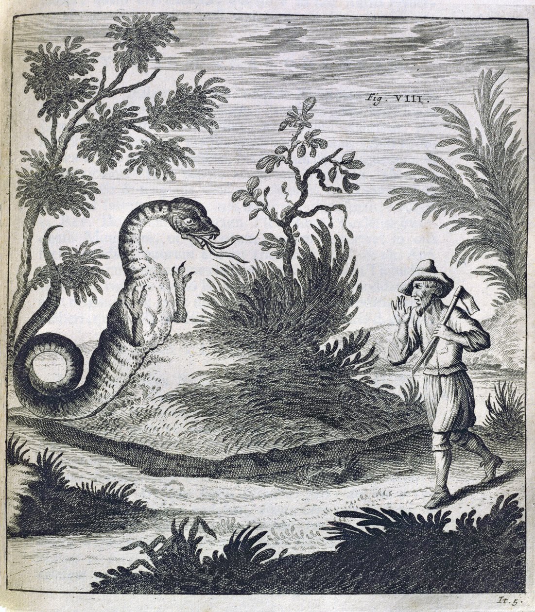 Un dragón temible, c.1660 de German School