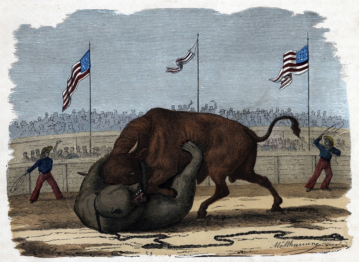 Una feroz lucha entre un toro y un oso en una arena. En “Wenn Jemand eine Reise thut, so kann er was erzählen” (Cuando alguien viaja, esto es lo que puede contar), cuento alemán de Franz Wiedemann de German School