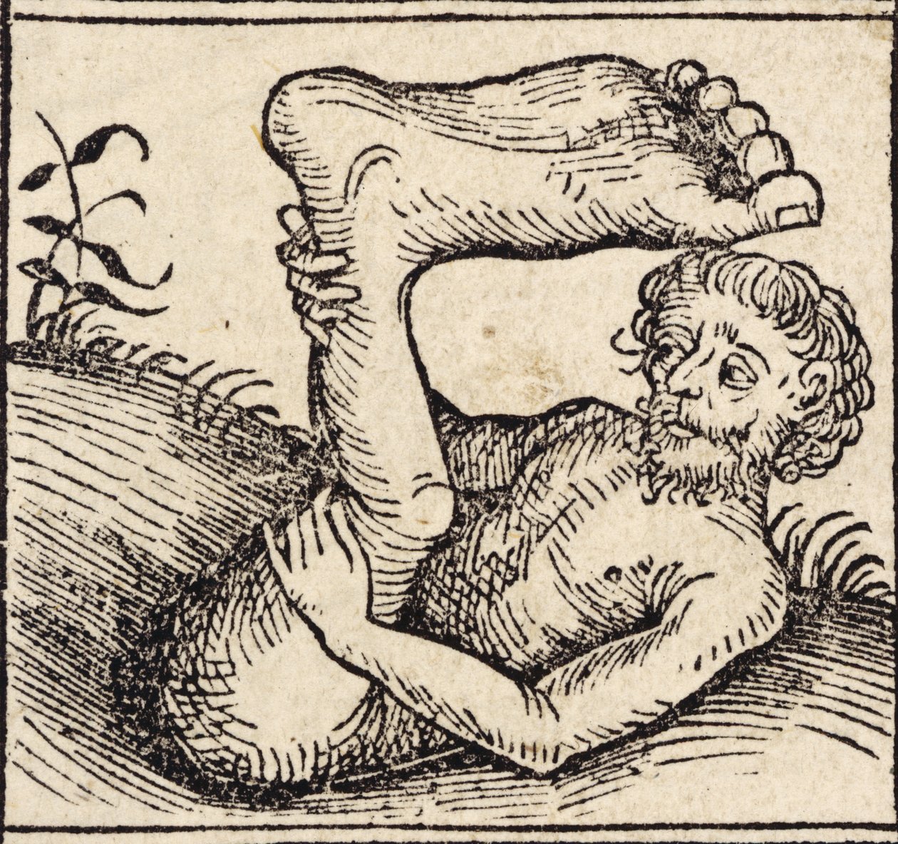 Un sciopod, Hombre con un pie hinchado, de ``Registrum Hujus Operis Libri Cronicarum cum Figuri et Imagibus ab Inicio Mundi