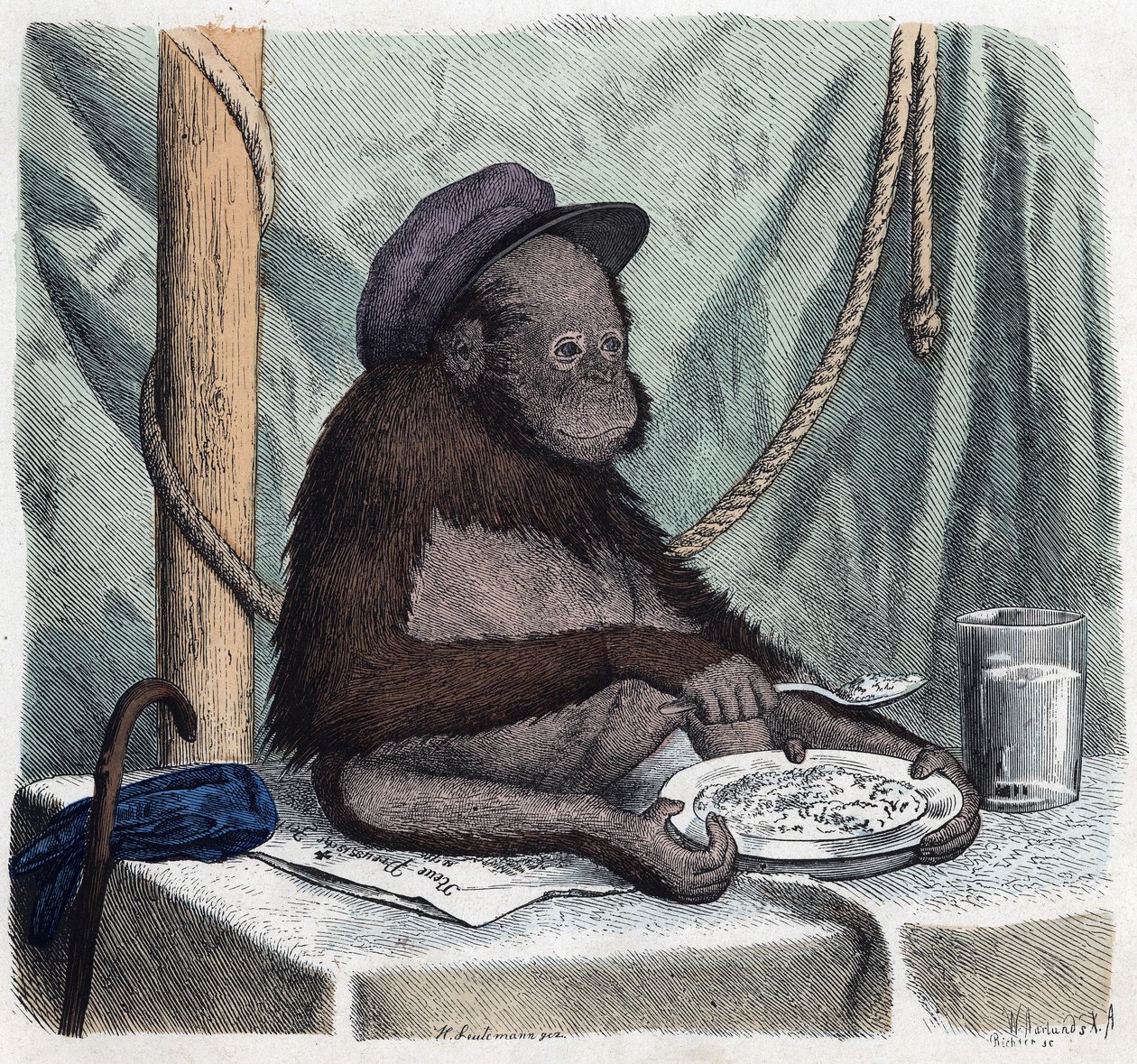 Un orangután educado come arroz con una cuchara. En “Wenn Jemand eine Reise thut, so kann er was erzählen” (Cuando alguien viaja, esto es lo que puede contar), cuento alemán de Franz Wiedemann de German School