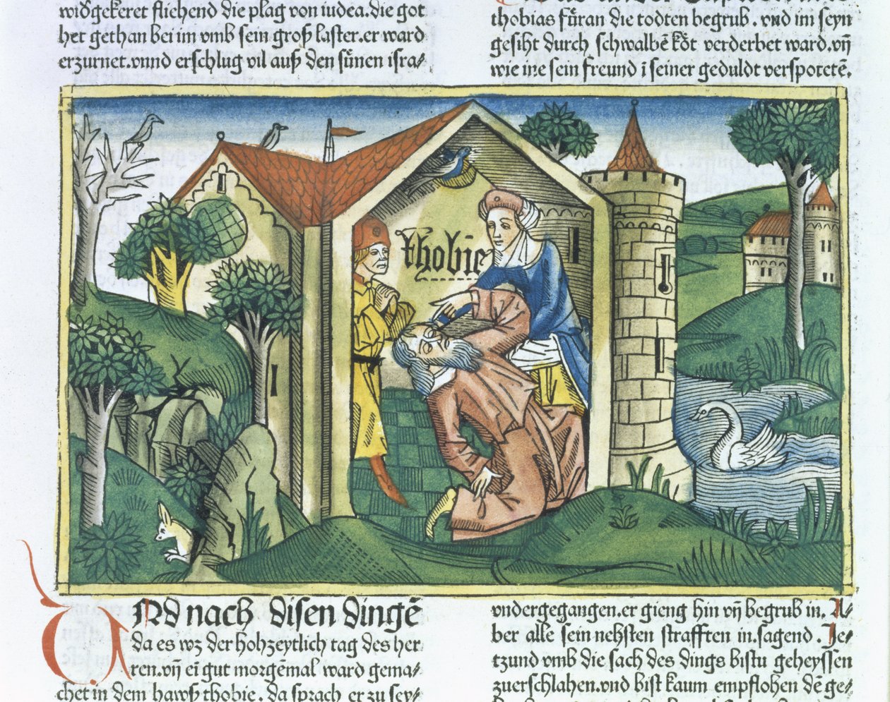 Apócrifos: Tobías es cegado por excrementos de gorriones, de la Biblia de Núremberg (Biblia Sacra Germanaica) de German School