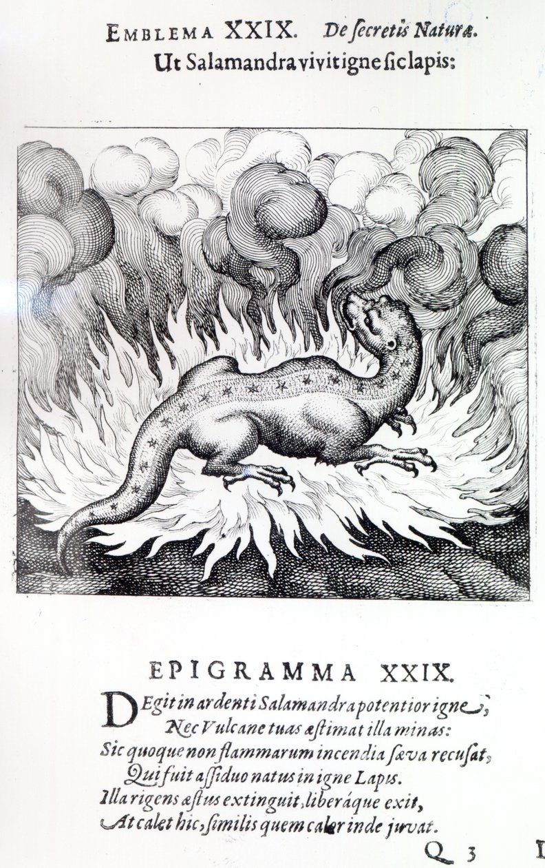 Como la salamandra vive en el fuego, así también la piedra, Emblema XXIX de Atalanta fugiens por Michael Maier, 1617 de German School