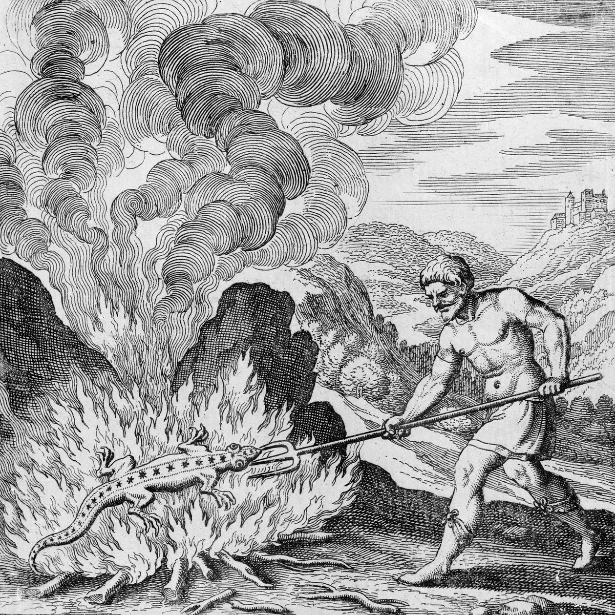 Quemando una salamandra del Musaeum Hermeticum de German School