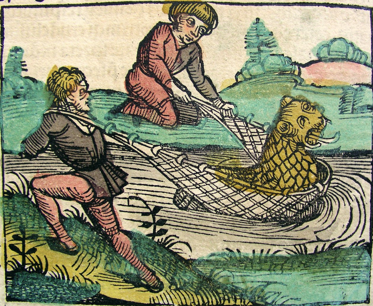 Capturando un monstruo pez león gato, publicado en la Crónica de Núremberg, 1493 de German School