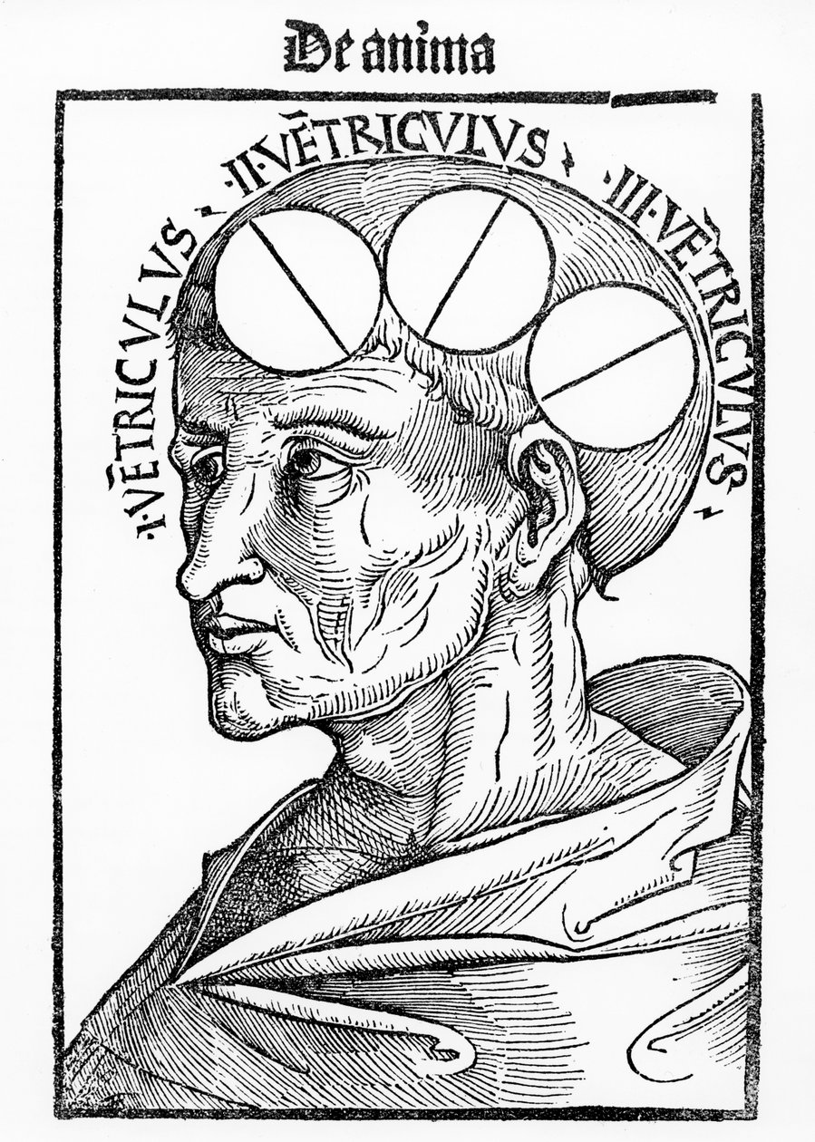 Cavidades del cerebro, de Philosophia Naturalis por Albertus Magnus, publicada en Basilea, 1506 de German School