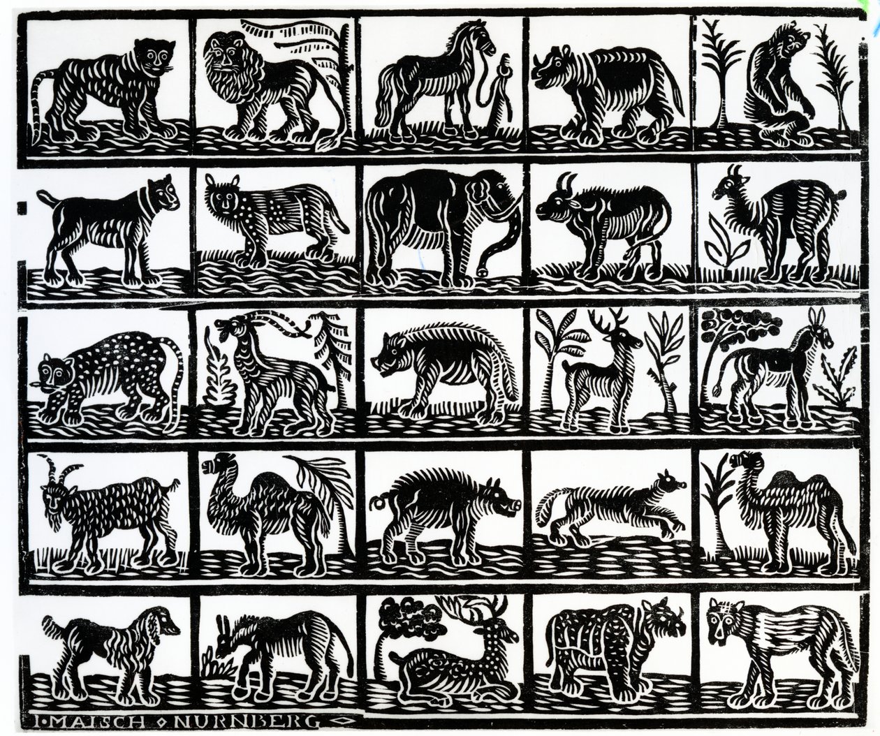 Colección de animales de German School