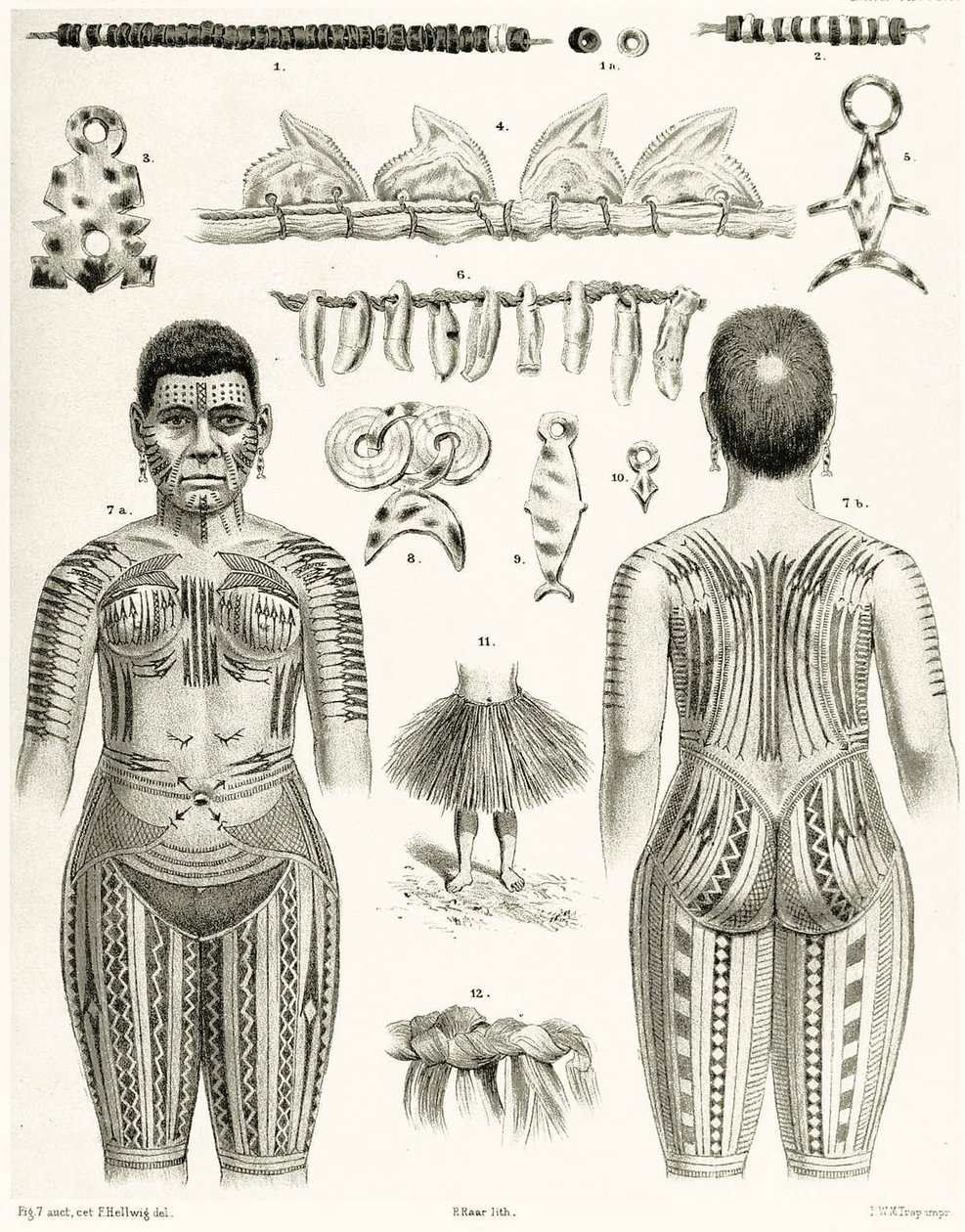 Diagrama que muestra joyería polinesia, adornos y diseños de tatuajes, 1888 de German School