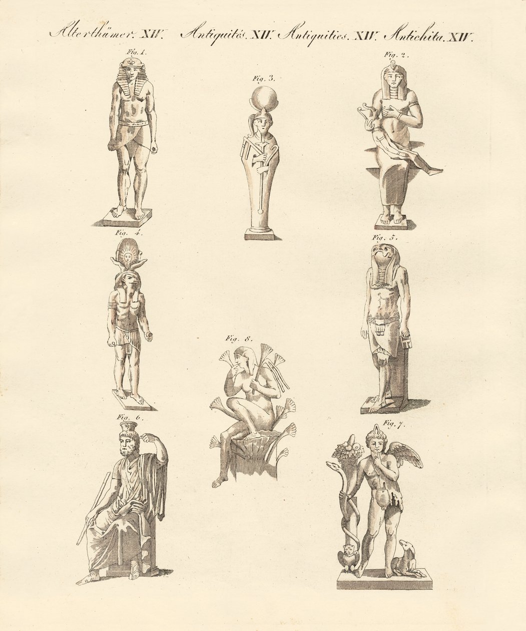 Divinidades egipcias de German School