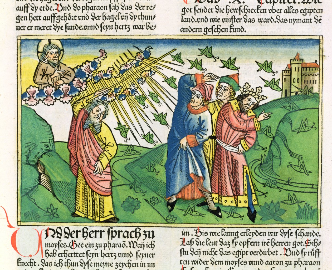 Éxodo 10:1-20 Las siete plagas de Egipto: la plaga de langostas, de la Biblia de Núremberg (Biblia Sacra Germanaica) de German School