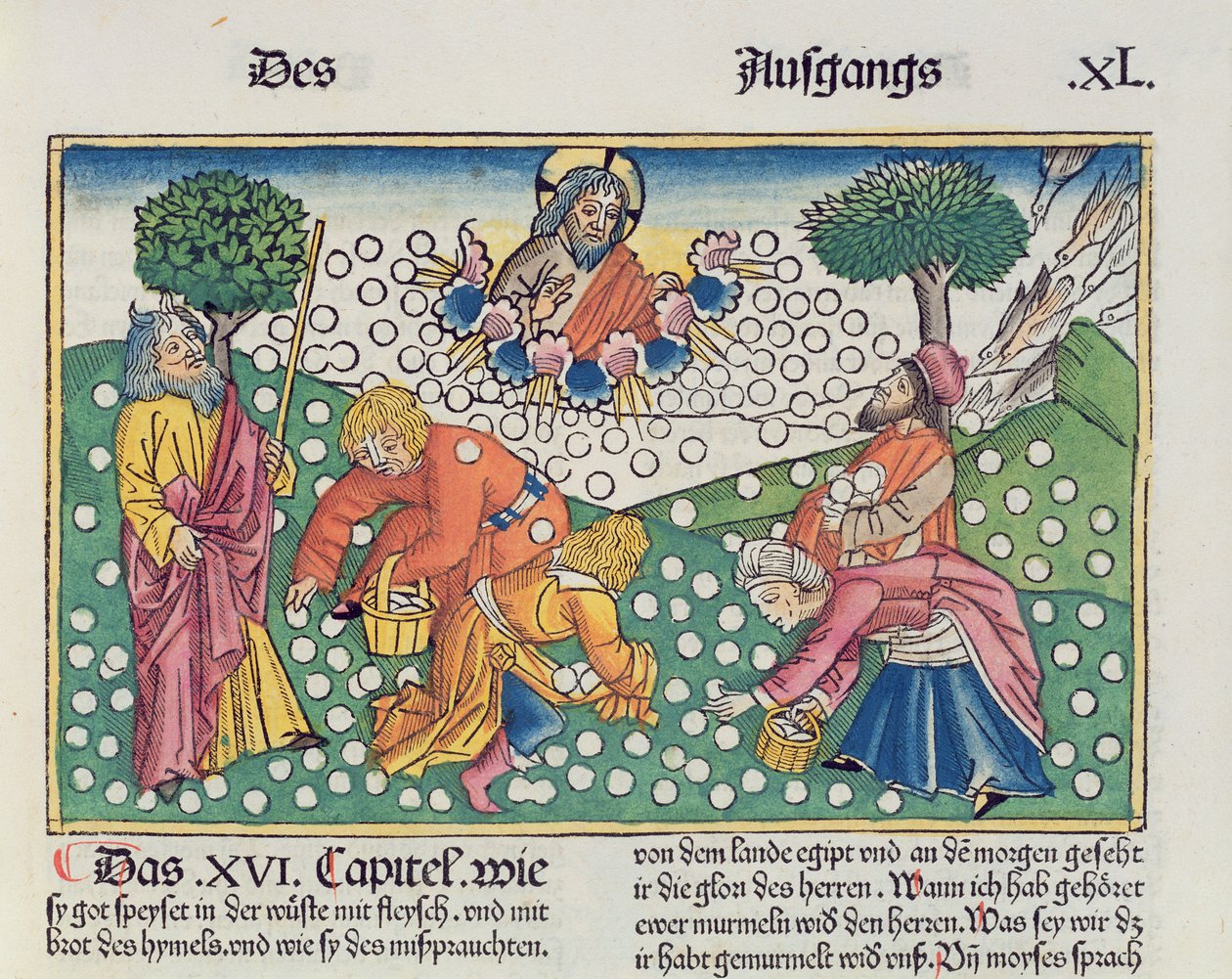 Éxodo 16:13-22 Dios provee codornices y maná a los israelitas, de la Biblia de Núremberg (Biblia Sacra Germanaica) de German School