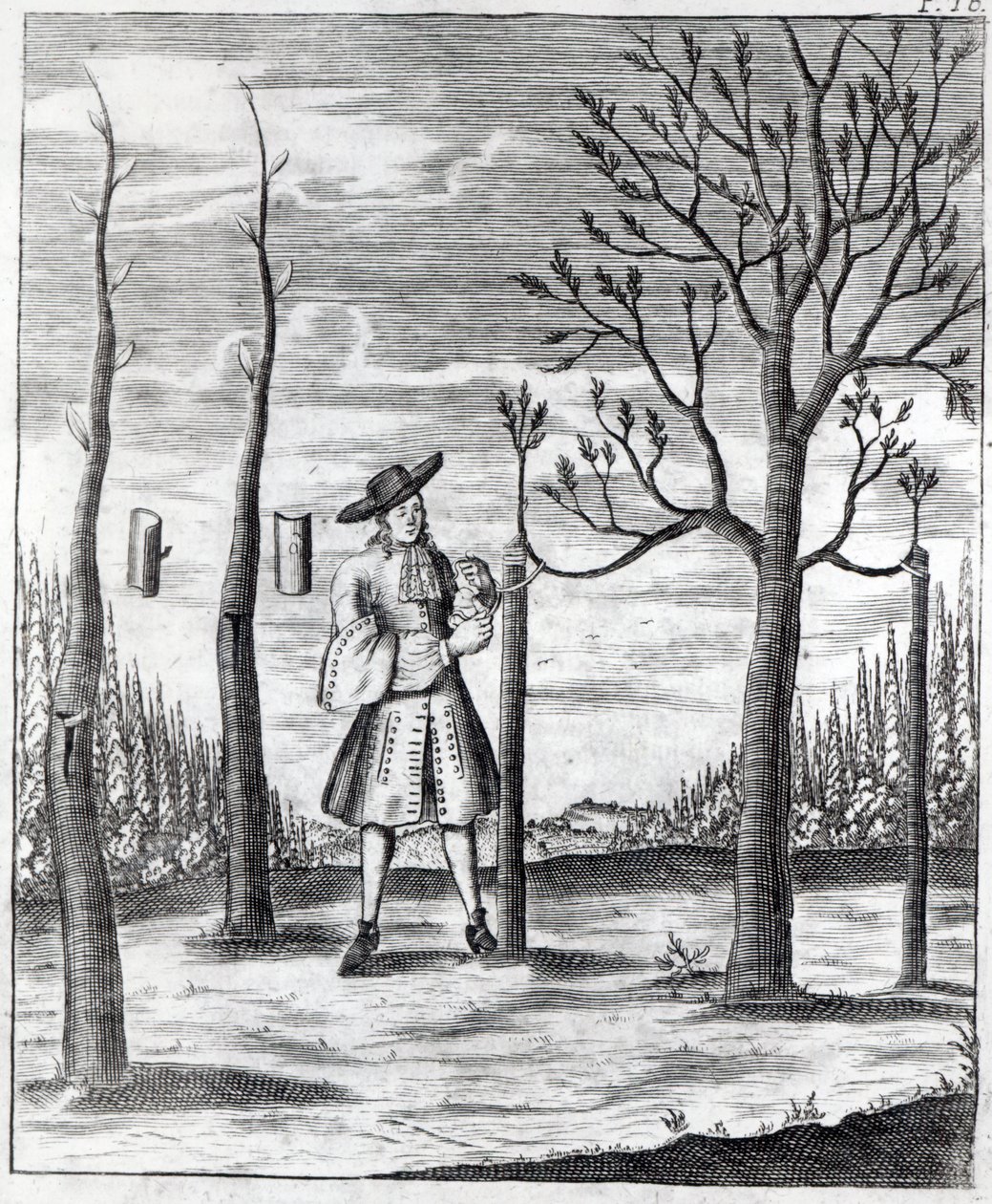 Jardinería y enfermedades de las plantas, una ilustración de 