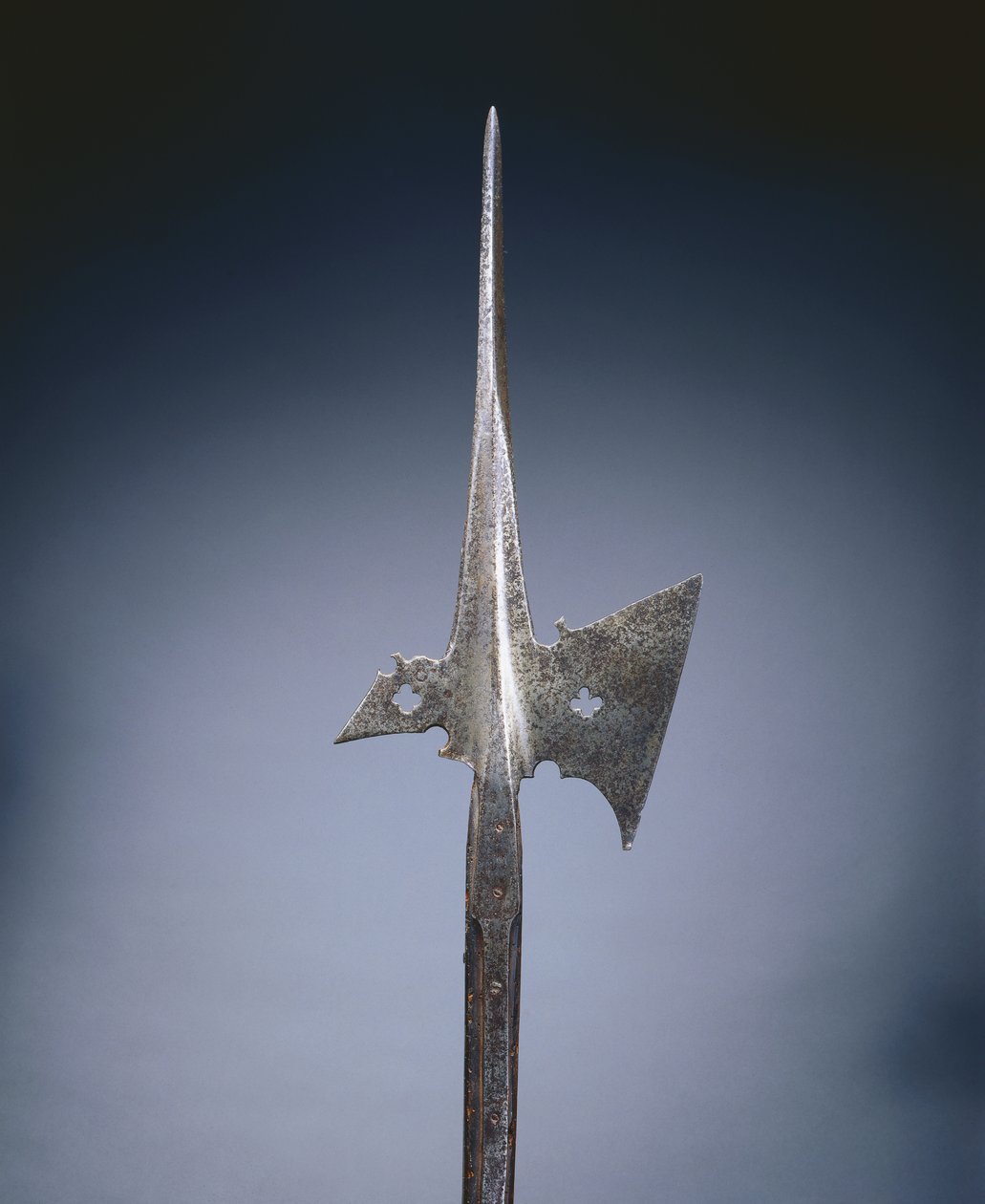 Alabarda, circa 1500-25 de German School