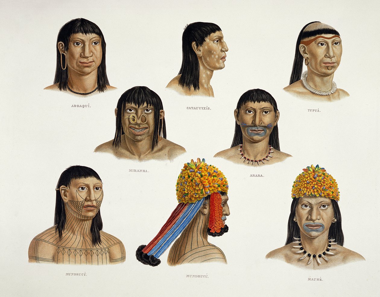 Cabezas de indios sudamericanos, de Viajes en Brasil de German School