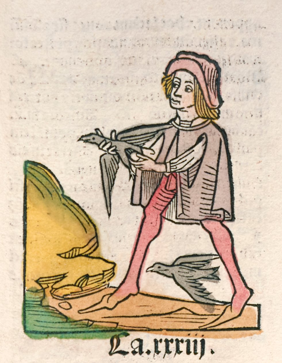 Hortus Sanitatis [El jardín de la salud] de Jacob Meydenbach publicado en 1491 (grabado en madera) de German School