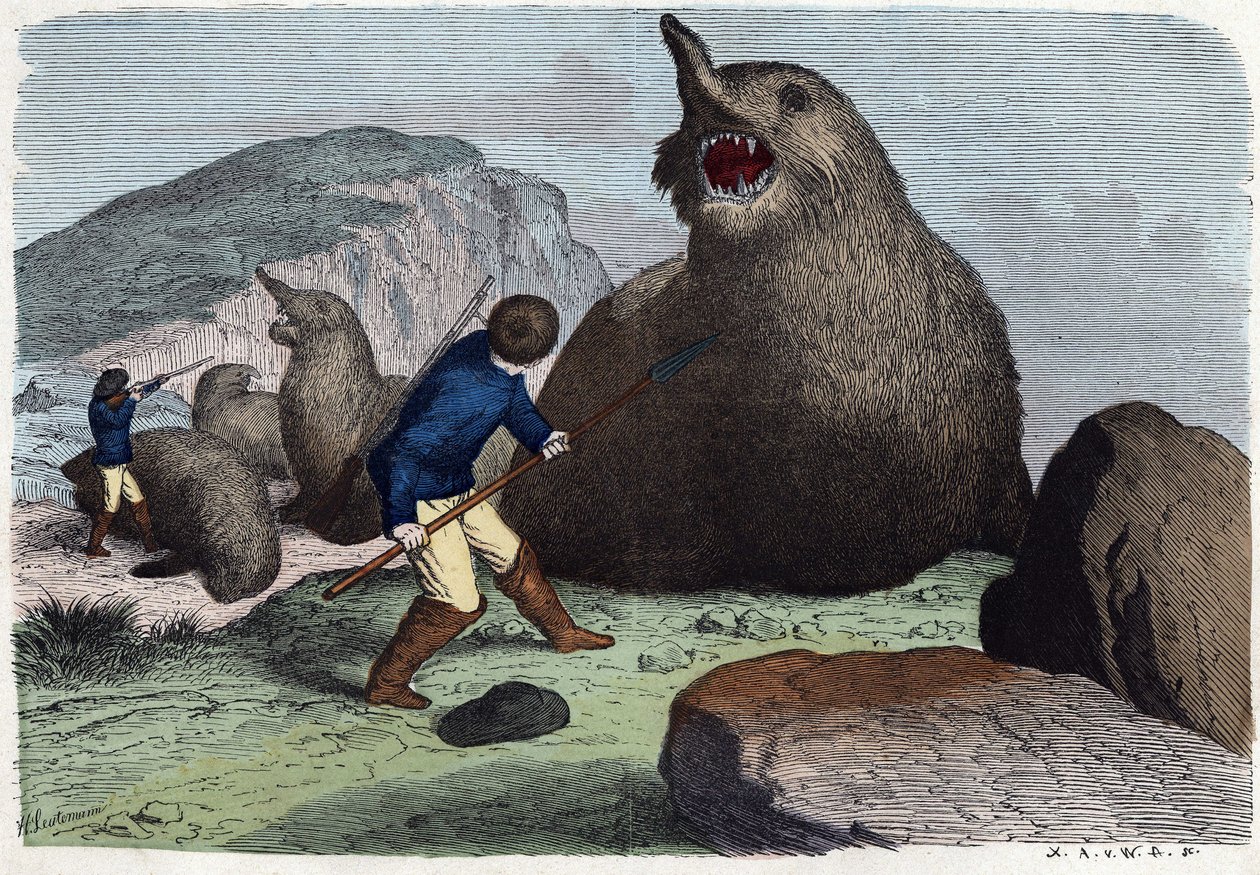 Cazadores luchando contra elefantes marinos. En "Wenn Jemand eine Reise thut, so kann er was erzahlen", cuento alemán de Franz Wiedemann de German School
