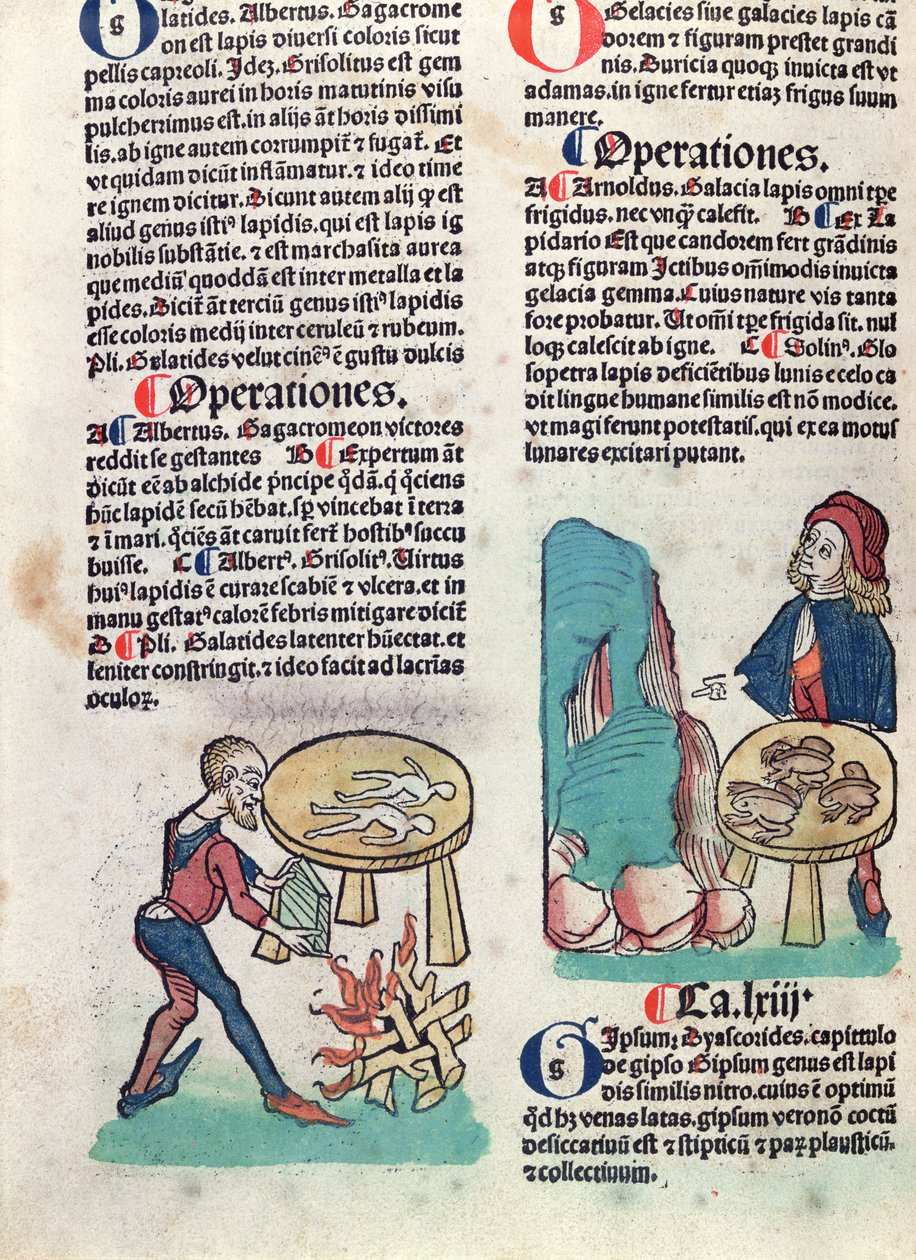 Página ilustrada de Hortus Sanitatis, 1491 (xilografía coloreada) de German School
