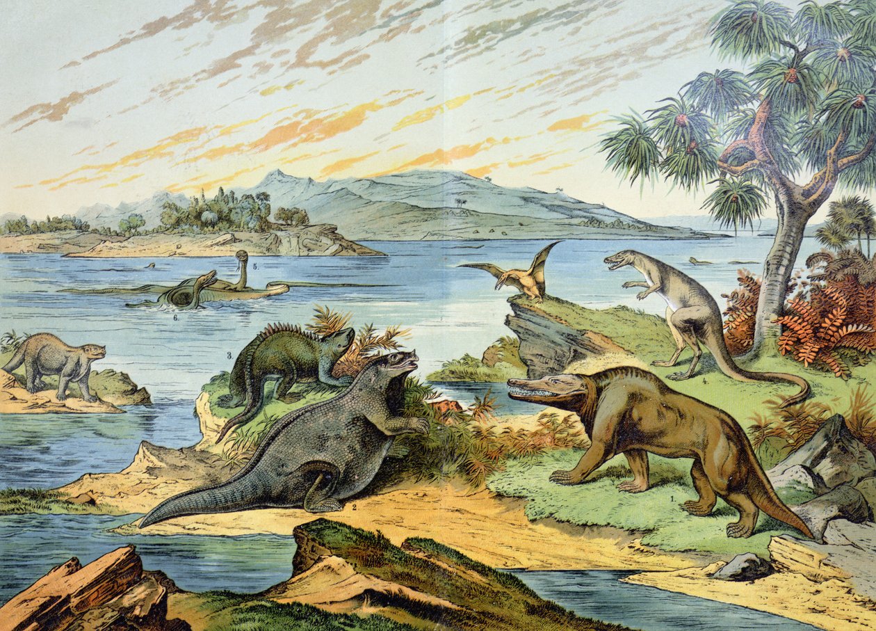 Paisaje que representa el período Cretácico, ilustración de Historia Natural de Mineralogía y Paleontología por G.H. von Schubert, 1888 de German School