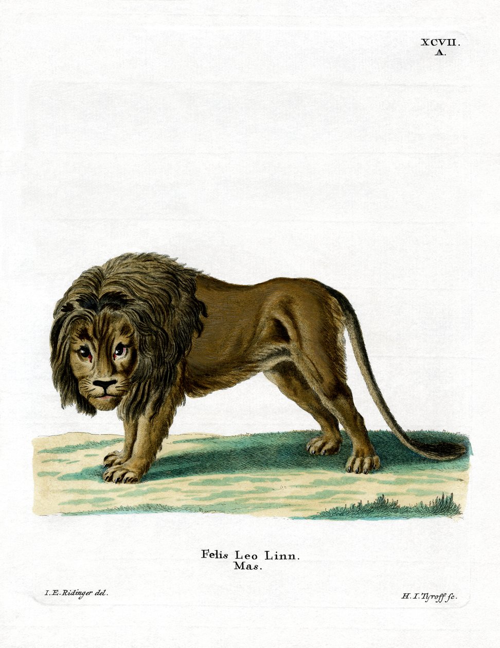 León de German School