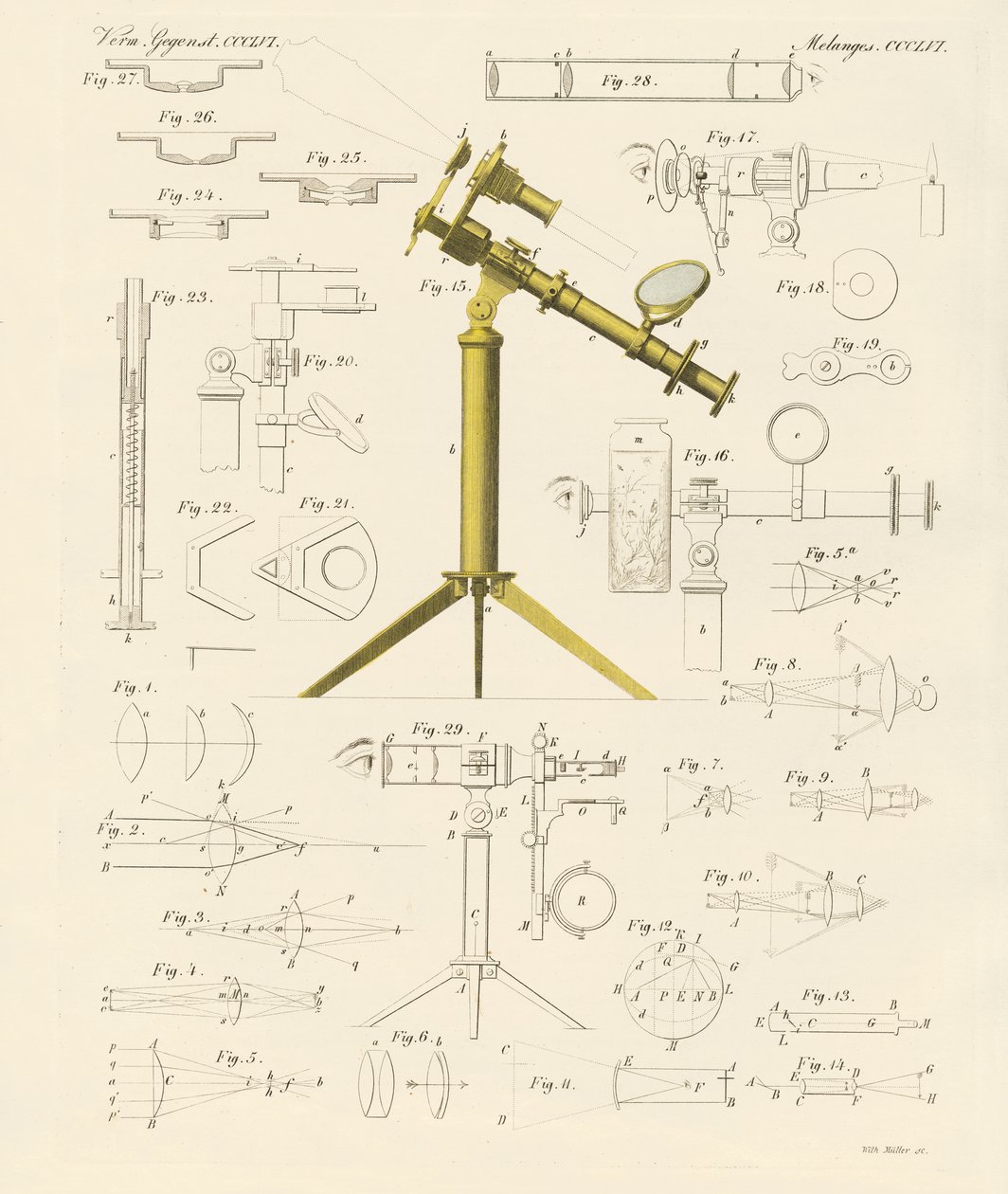 Lupa y entretenimientos microscópicos de German School