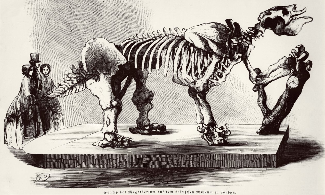 Esqueleto de Megatherium en el Museo Británico de German School