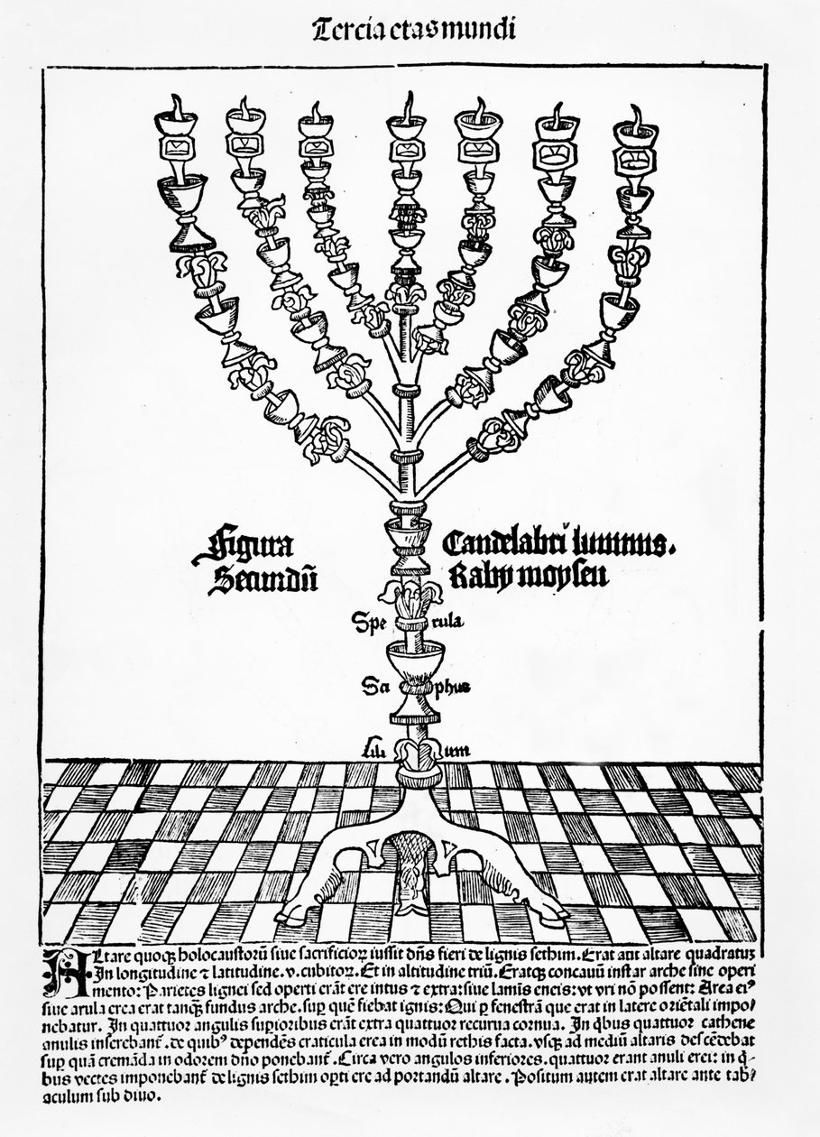 Menorá, de Liber Chronicarum por Hartmann Schedel, publicado en Núremberg, 1493 de German School