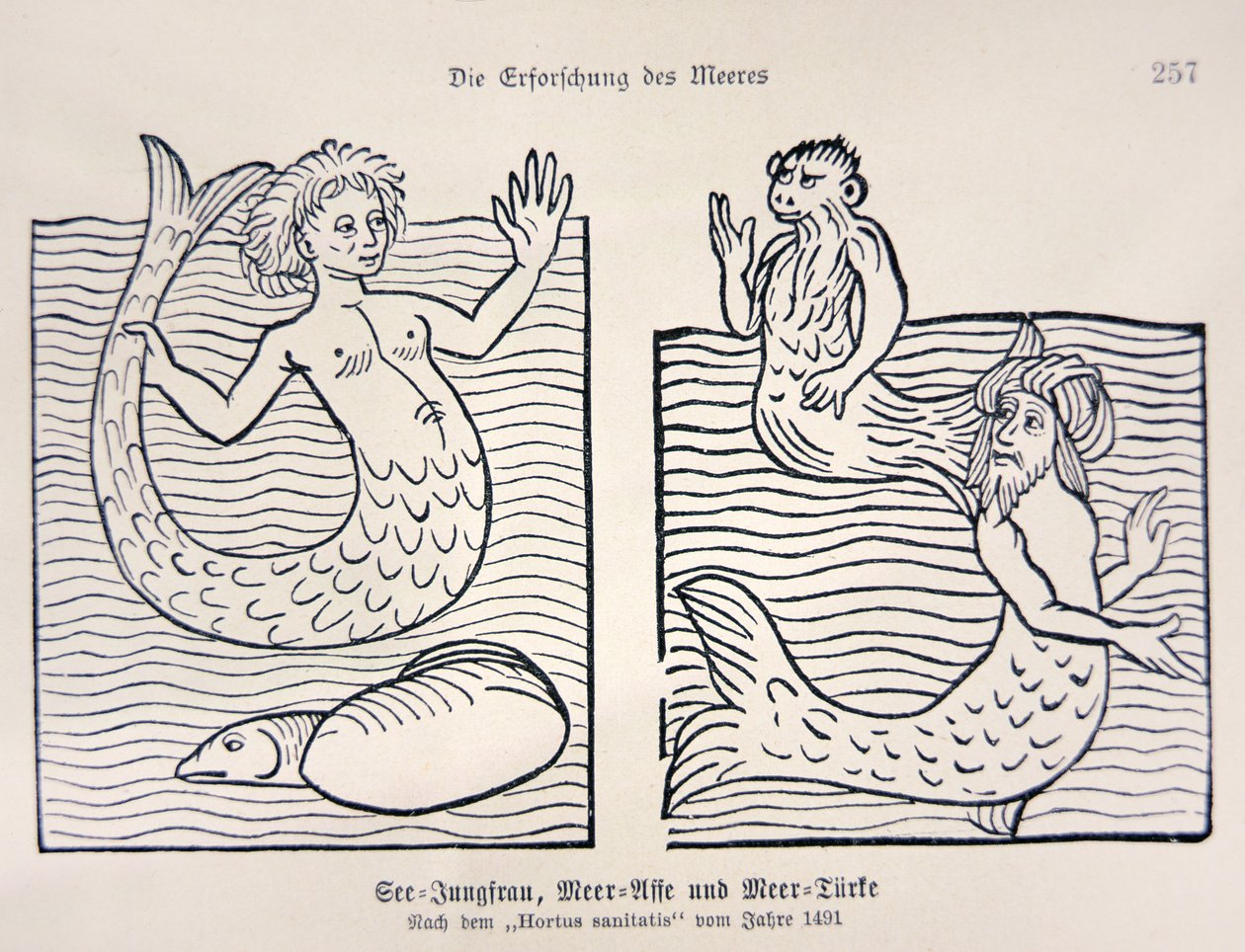 Sirena y Tritón del 