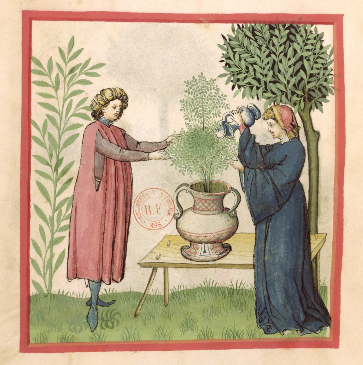 Mejorana, del Tacuinum Sanitatis de German School