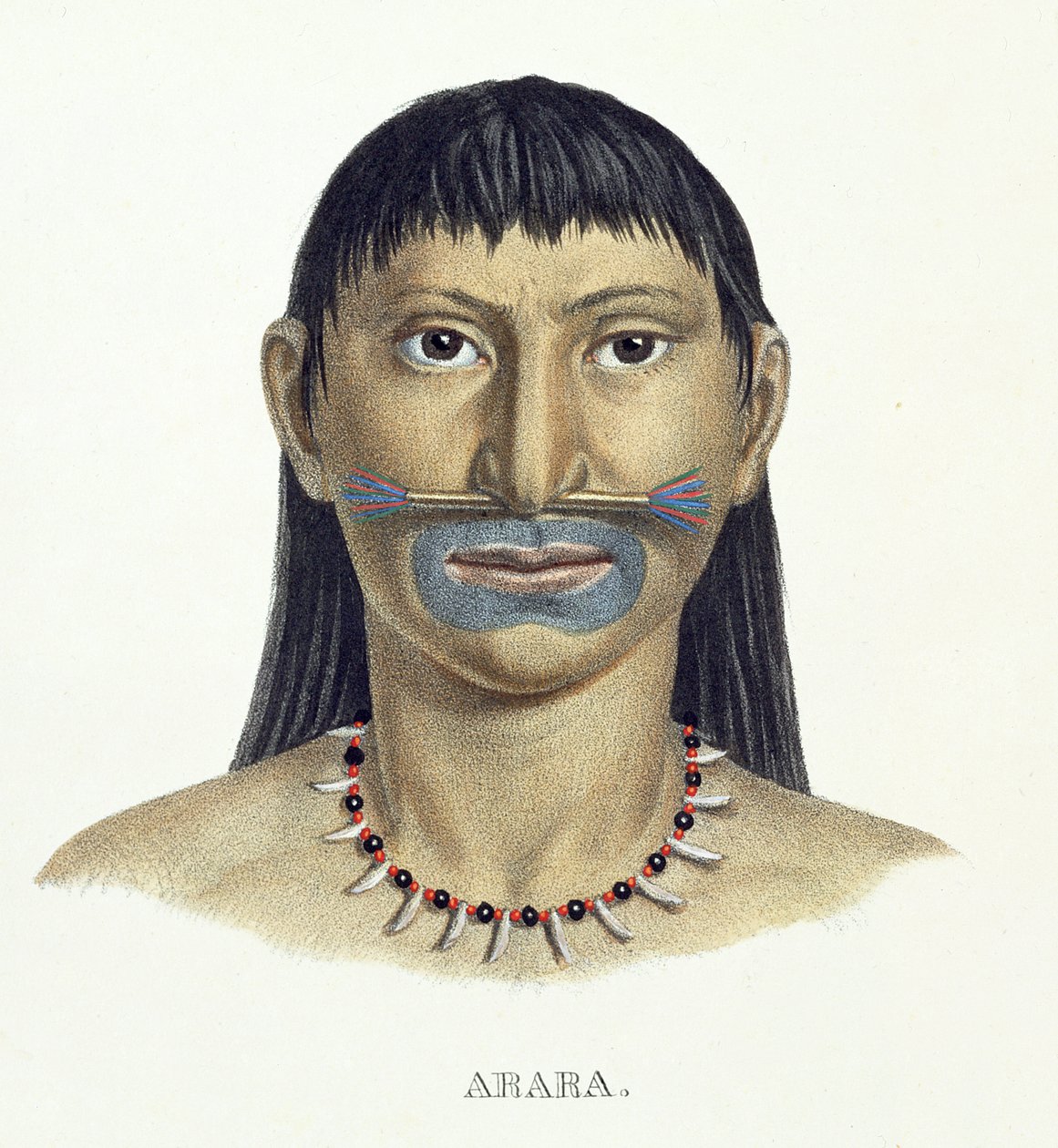 Hombre nativo de la tribu Arara con pintura facial azul, del Atlas de un viaje en Brasil de Johann Baptist von Spix (1781-1826) y Karl Friedrich Philipp Martius (1794-1868), publicado c.1835-50 de German School