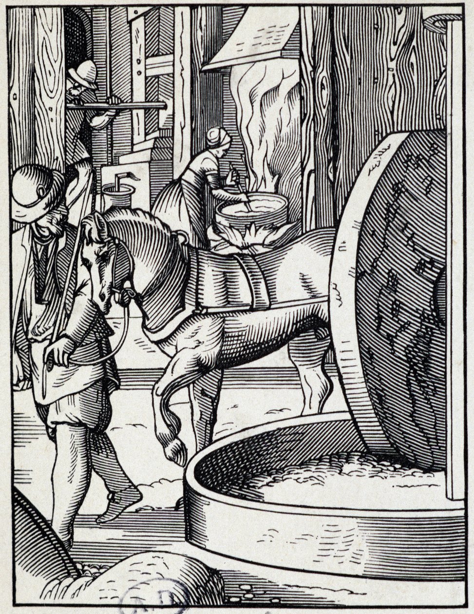 Prensa de aceite - grabado alemán de German School