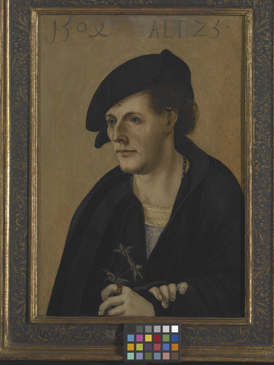 Retrato de un joven (óleo sobre madera) de German School