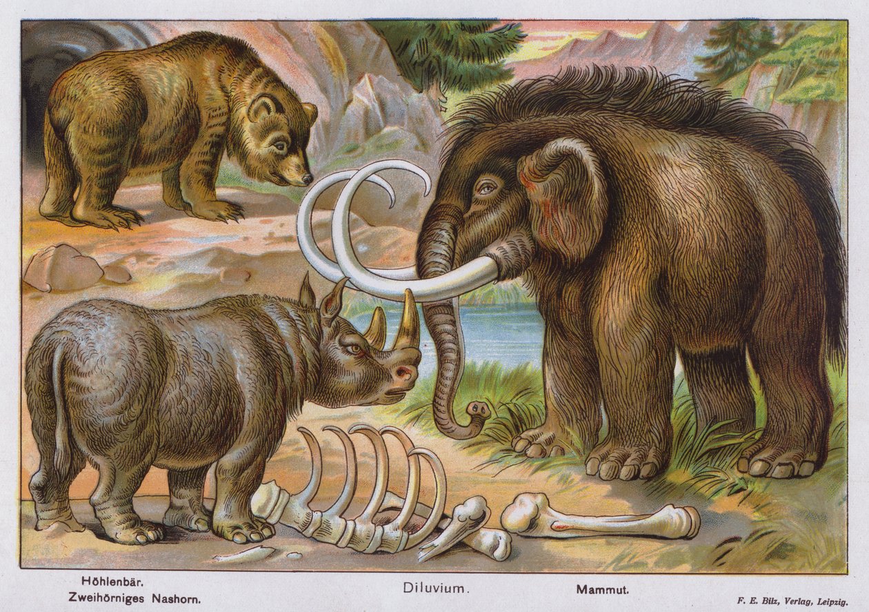 Mamíferos prehistóricos (litografía en color) de German School
