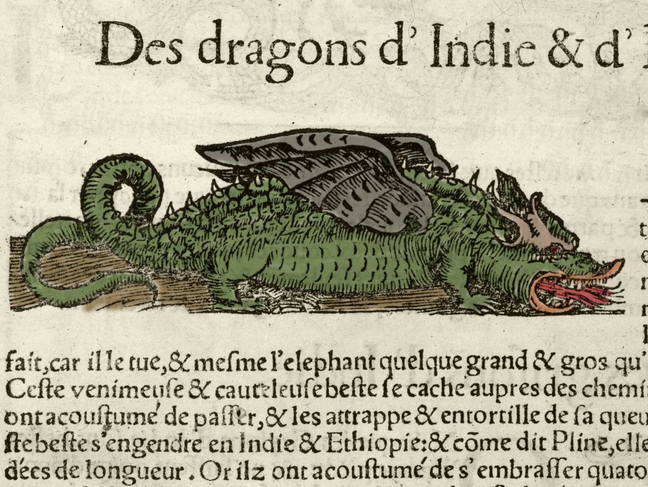Representación de un dragón de la India. Xilografía tomada de la Cosmografía Universal de Sebastien Munster. Bale de German School