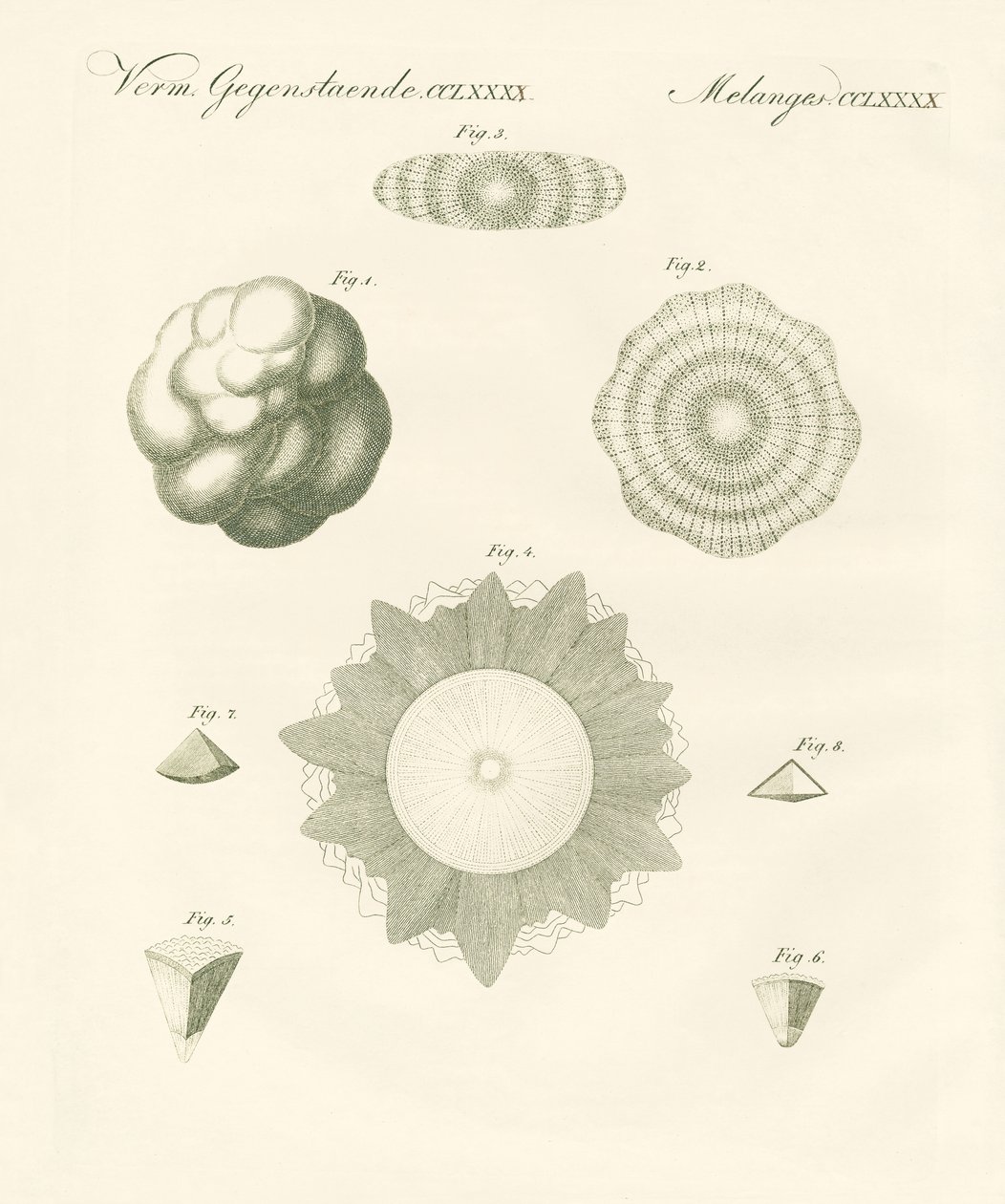 Granizos extraños de German School