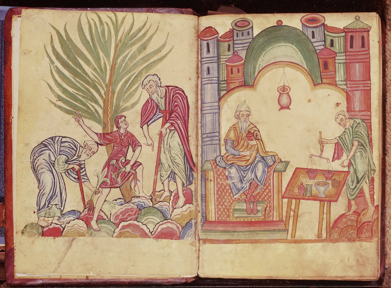 El arte del boticario, de Apuleius Dioscorides de German School