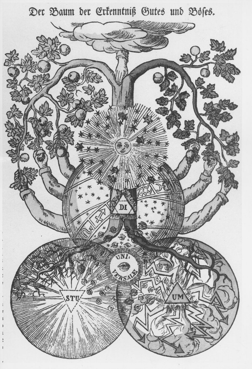 El árbol del conocimiento del bien y del mal de German School