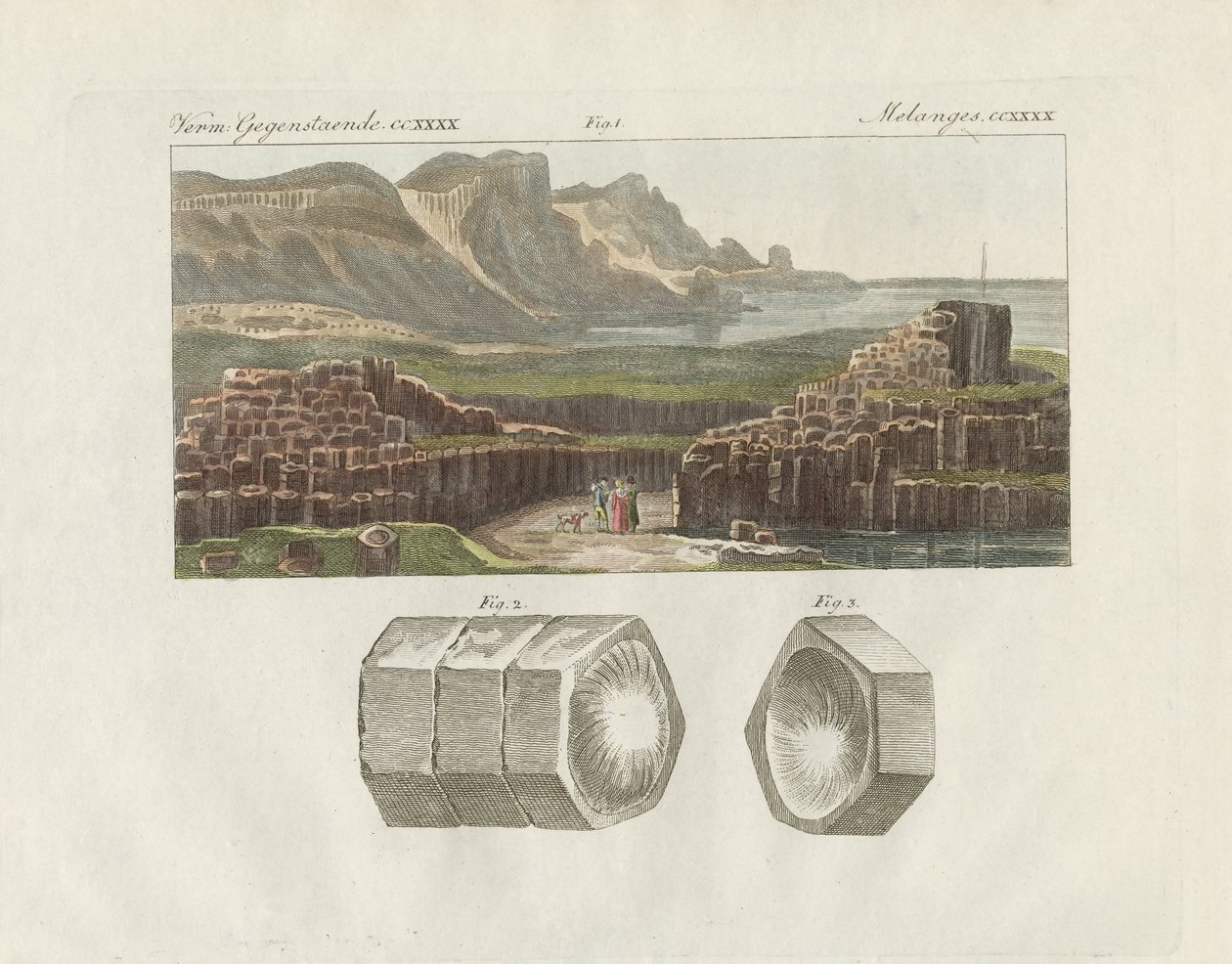 El camino gigante o la calle gigante de German School