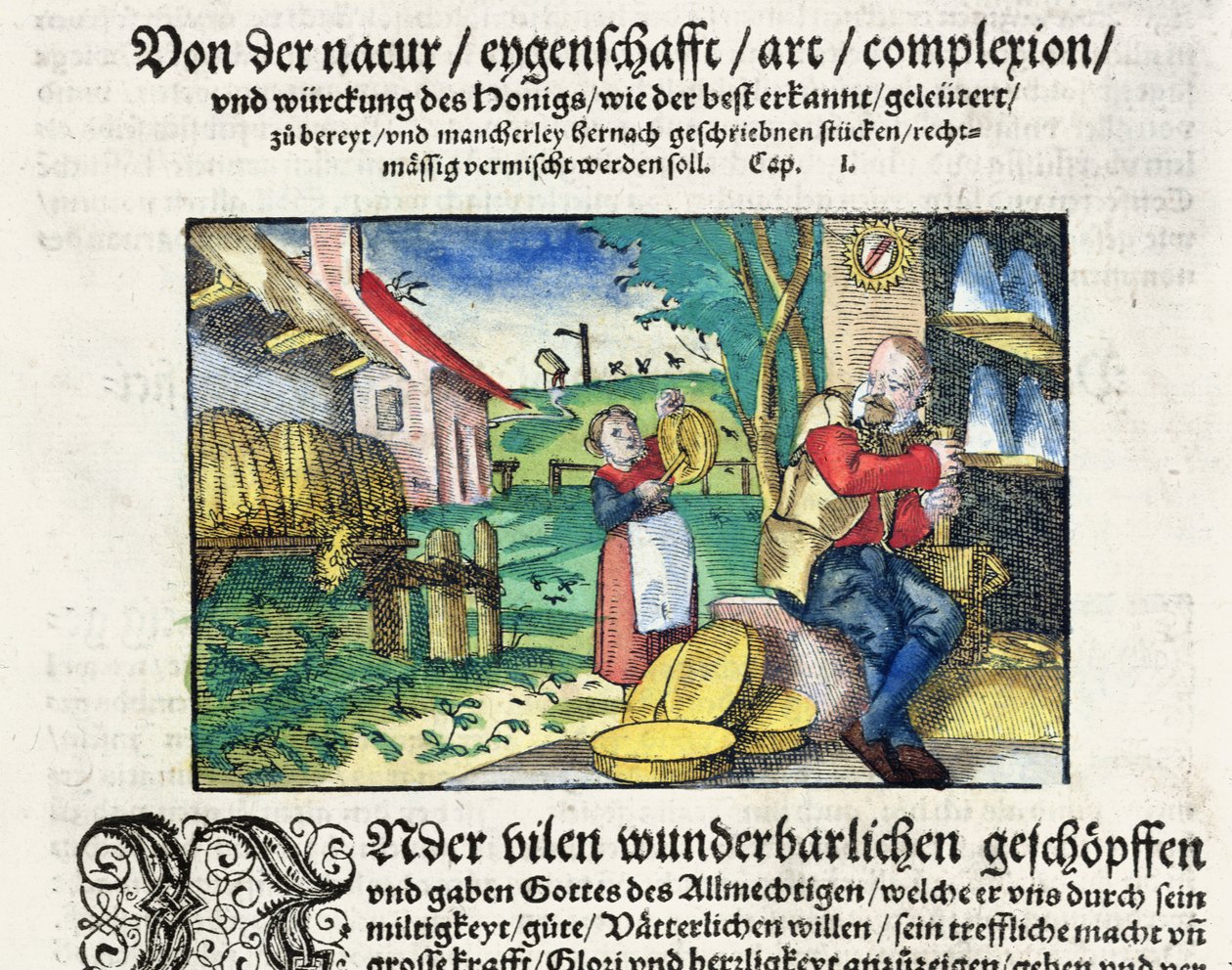 Los usos curativos y terapéuticos de la miel en la Medicina, ilustración de un tratado alemán sobre medicinas publicado en Estrasburgo en 1573 (xilografía coloreada) de German School