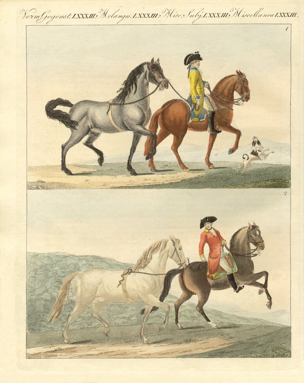 El caballo con sus diferentes tipos de German School