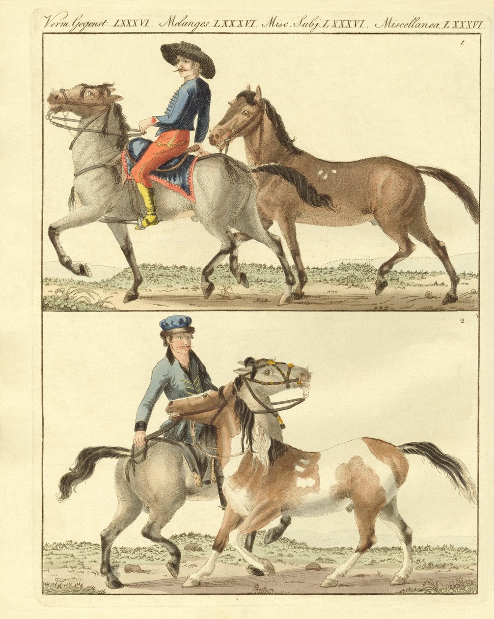 El caballo con sus diferentes tipos de German School