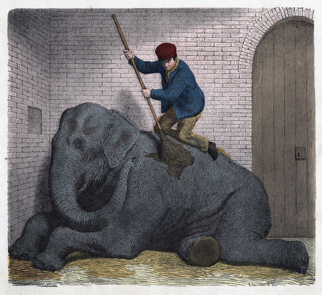 El aseo matutino del elefante Lilli. En “Wenn Jemand eine Reise thut, so kann er was erzahlen”, cuento alemán de Franz Wiedemann. de German School