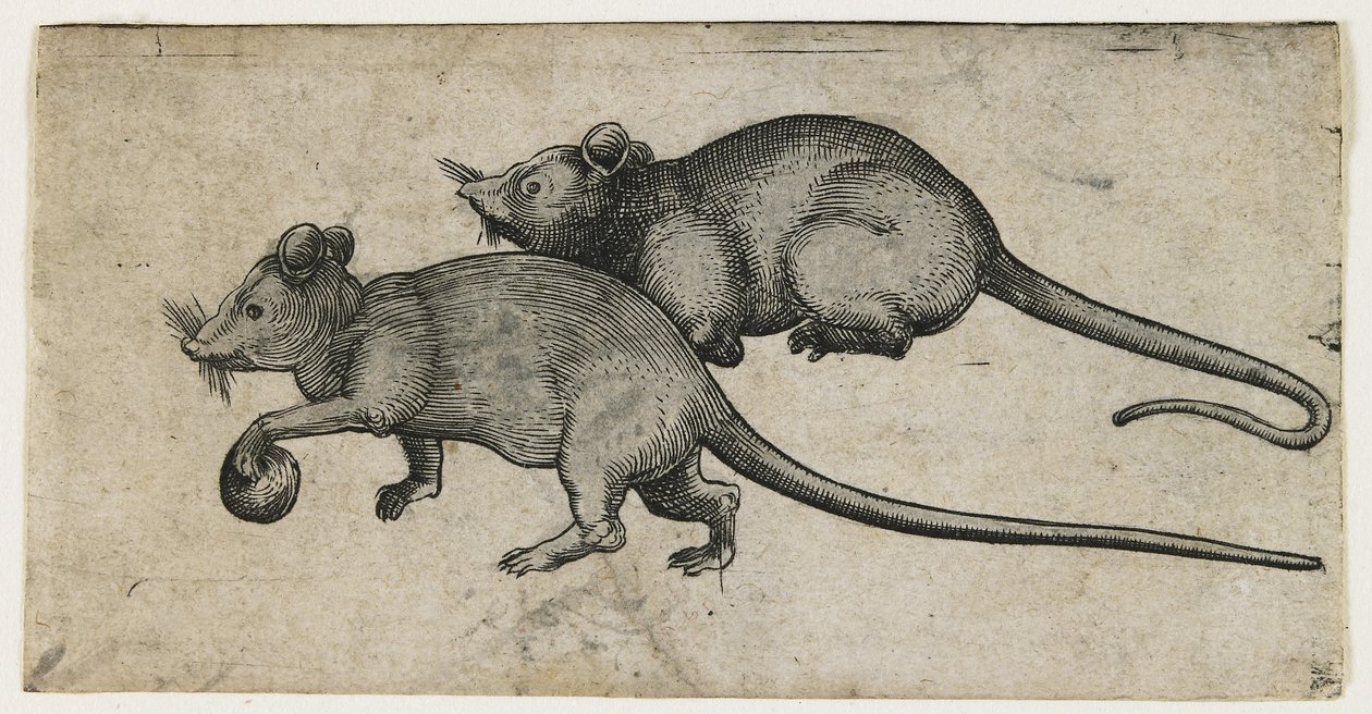 Dos ratones, 1450-80 de German School