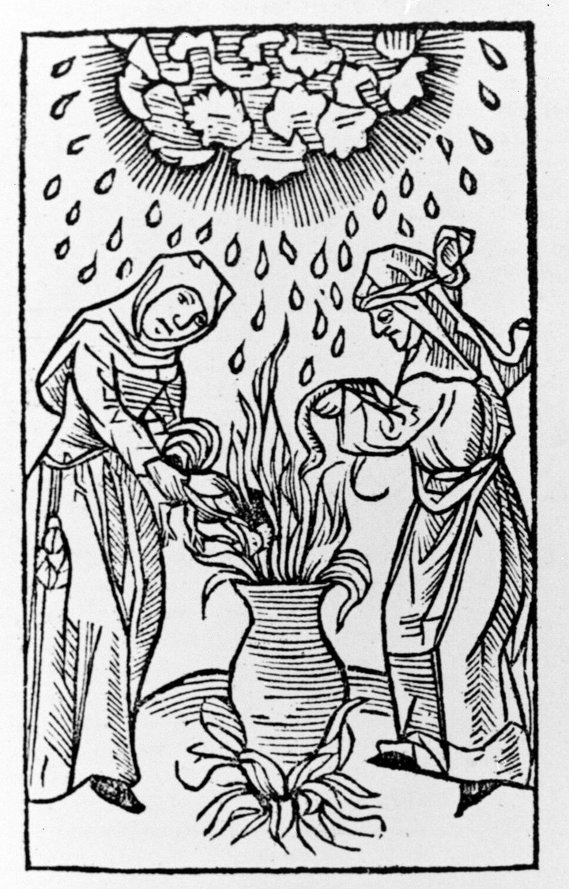 Dos brujas preparando una poción, invocando una tormenta de granizo - grabado de "de lanijs et phitonicis mulieribus", Colonia de German School