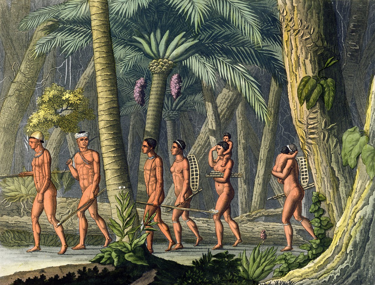 Tribus Puri Nativas Americanas en su Bosque, de 