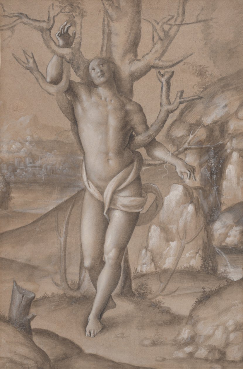 San Sebastián de Gerolamo Giovenone