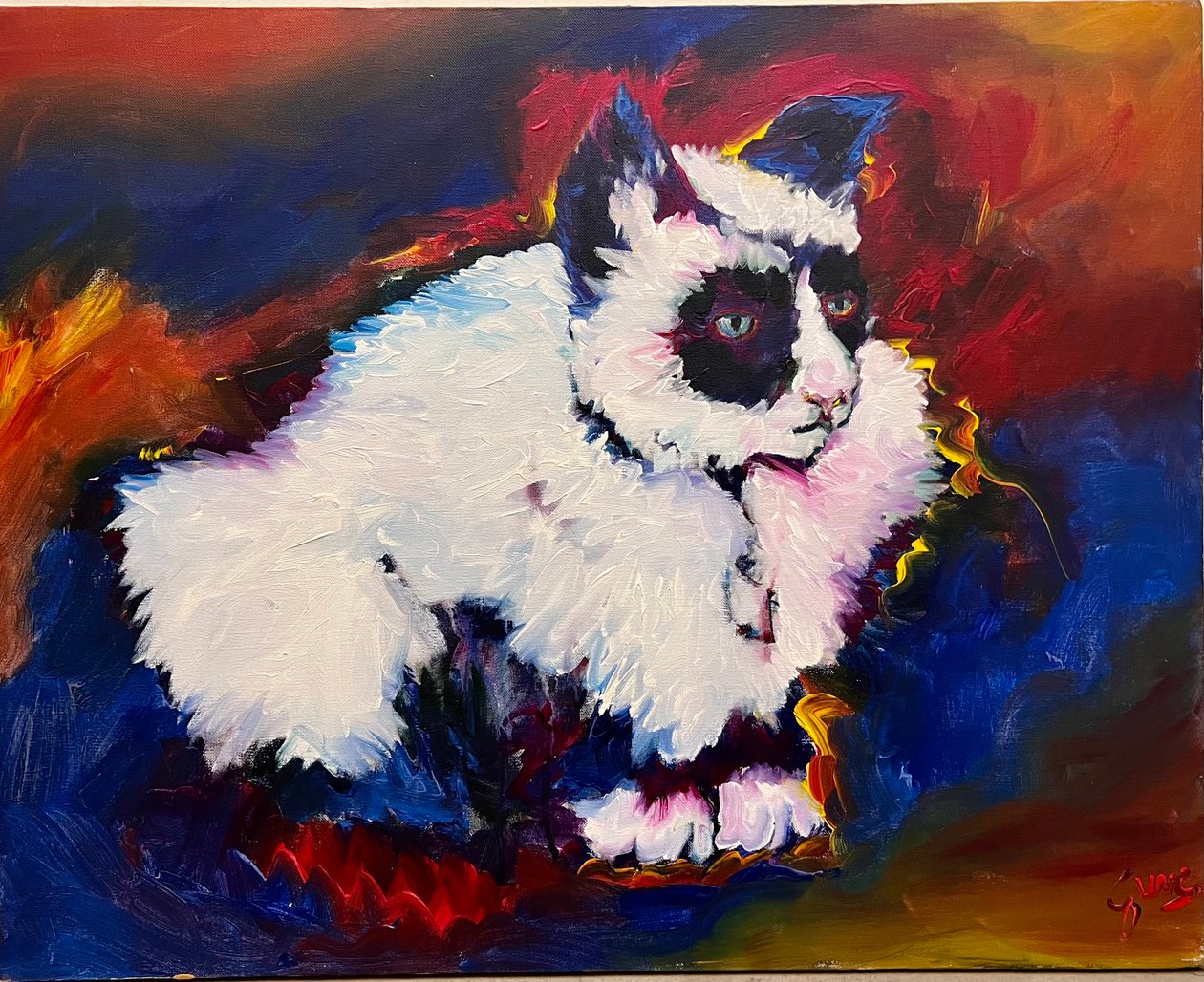 El gato Bungee de Gerrit Greve